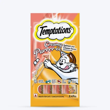 Temptation salmon & cheese | 48gm |