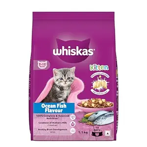 Whiskas Dry Junior/Kitten Ocean Fish | 1.1 kg , 3 kg , 6.5 kg