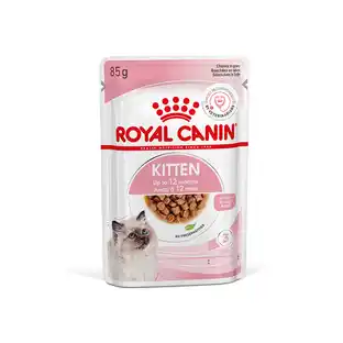 Wet food Kitten & breed kitten | 85g | Royal Canin