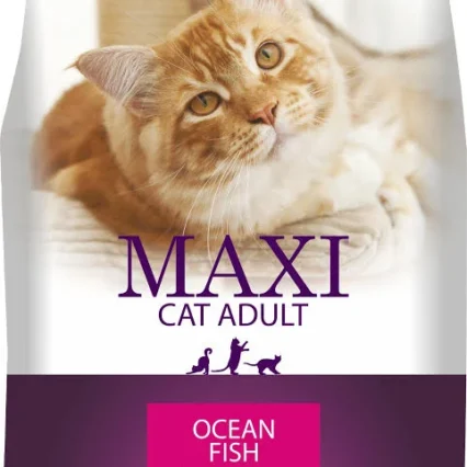 Maxi adult cat | 20kg | Drools