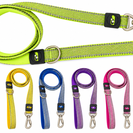 HOLY PAWS – Plush Fusion Leash