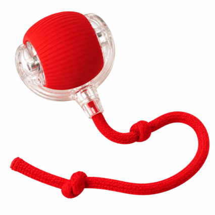 Cat Running Ball with String