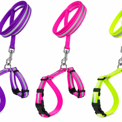 Cat harness & leash 10mm reflective