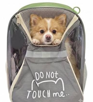 Backpack Do Not Touch Me