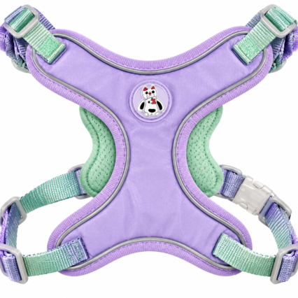 Small Breed Leash & Harness – Double Padding