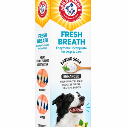 FRESH BREATH ENZYMATIC TOOTHPASTE (VANILLA GINGER)