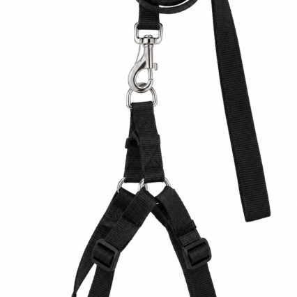 Plain Nylon Leash & Harness