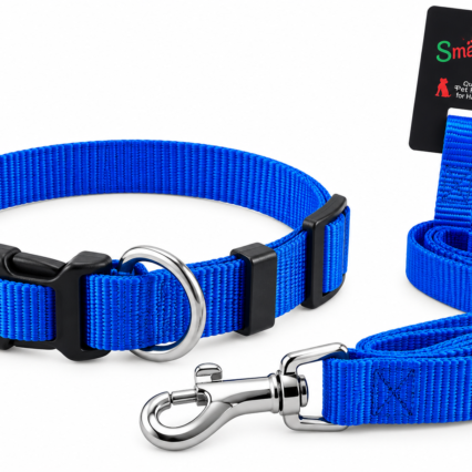 Plain Nylon Leash & Collar