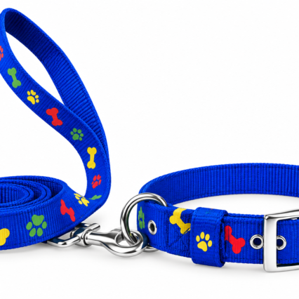 Nylon Print Padded Leash & Collar