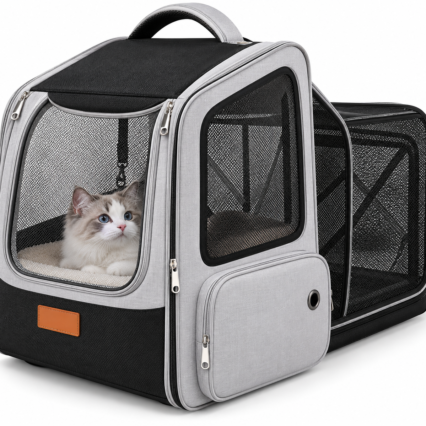 Backpack Expandable