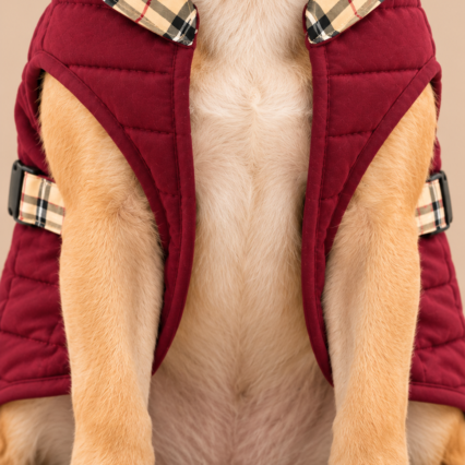 CLASSIC ROYALE JACKET — Size 12 to 30