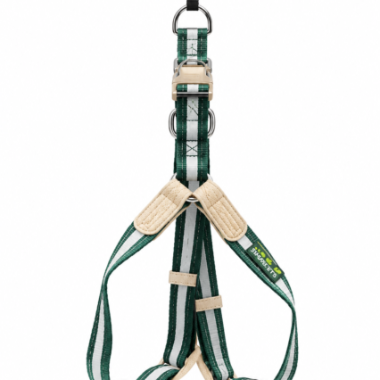NB Nylon & Leather Harness