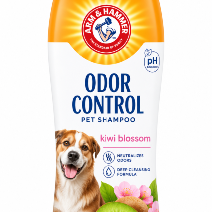 ODOR CONTROL DEODORIZING (KIWI BLOSSOM) | 591ml