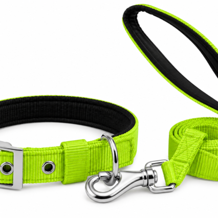 Plain Nylon Padded Leash & Collar