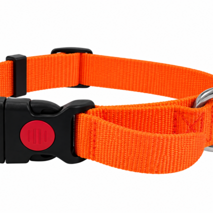 Plain nylon collar