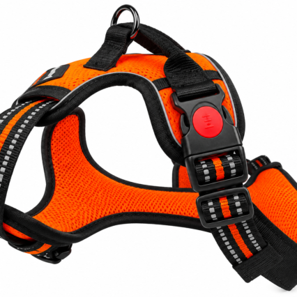 Chest Double Harness