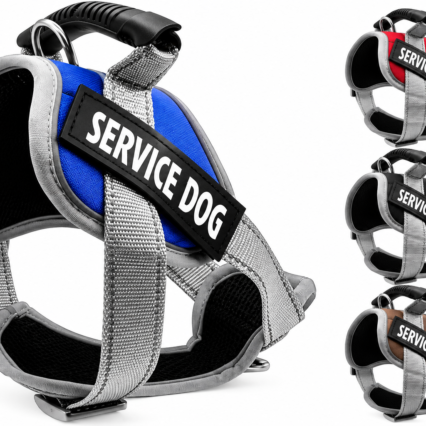 Service dog harness